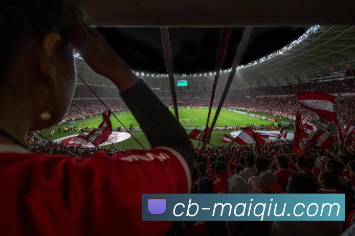 足球赛事分析平台生态图