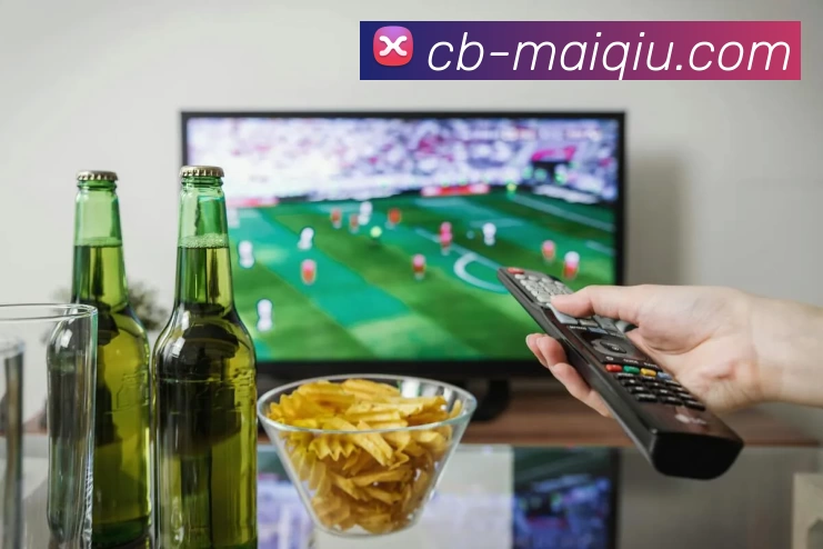 未来规划