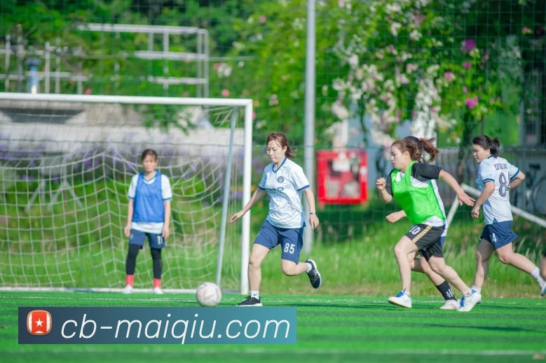 足球赛事分析全站App